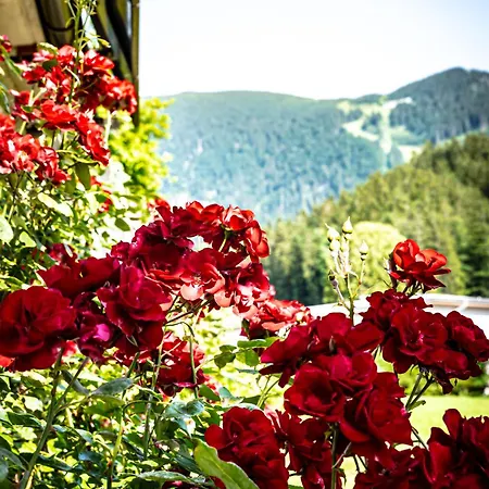 Haus-am-sonnenweg Apartamento Lackenhof