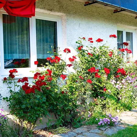 Haus-am-sonnenweg Apartment *