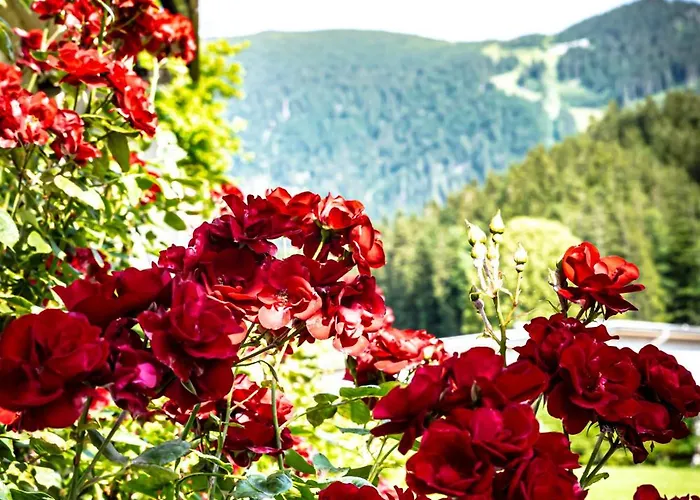 Haus-am-sonnenweg Apartman Lackenhof