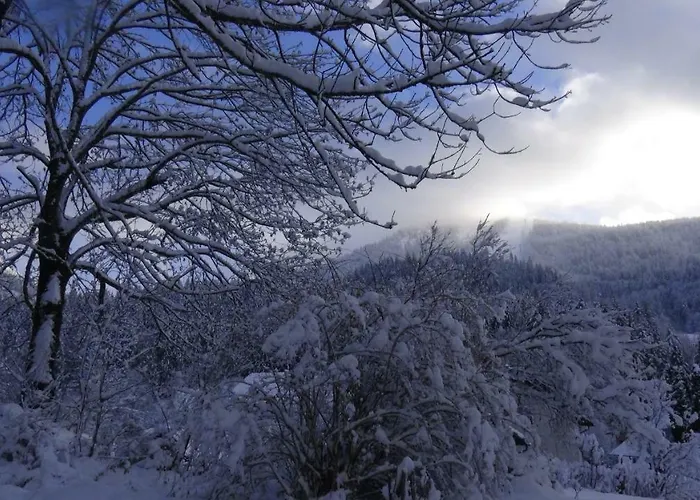 Apartman Haus-am-sonnenweg Lackenhof