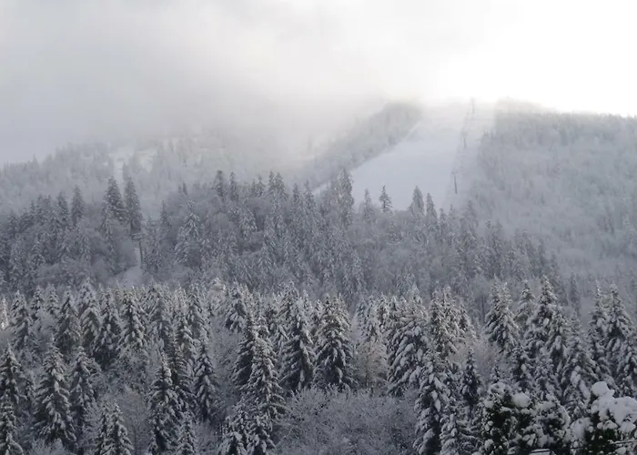 Daire Haus-am-sonnenweg *